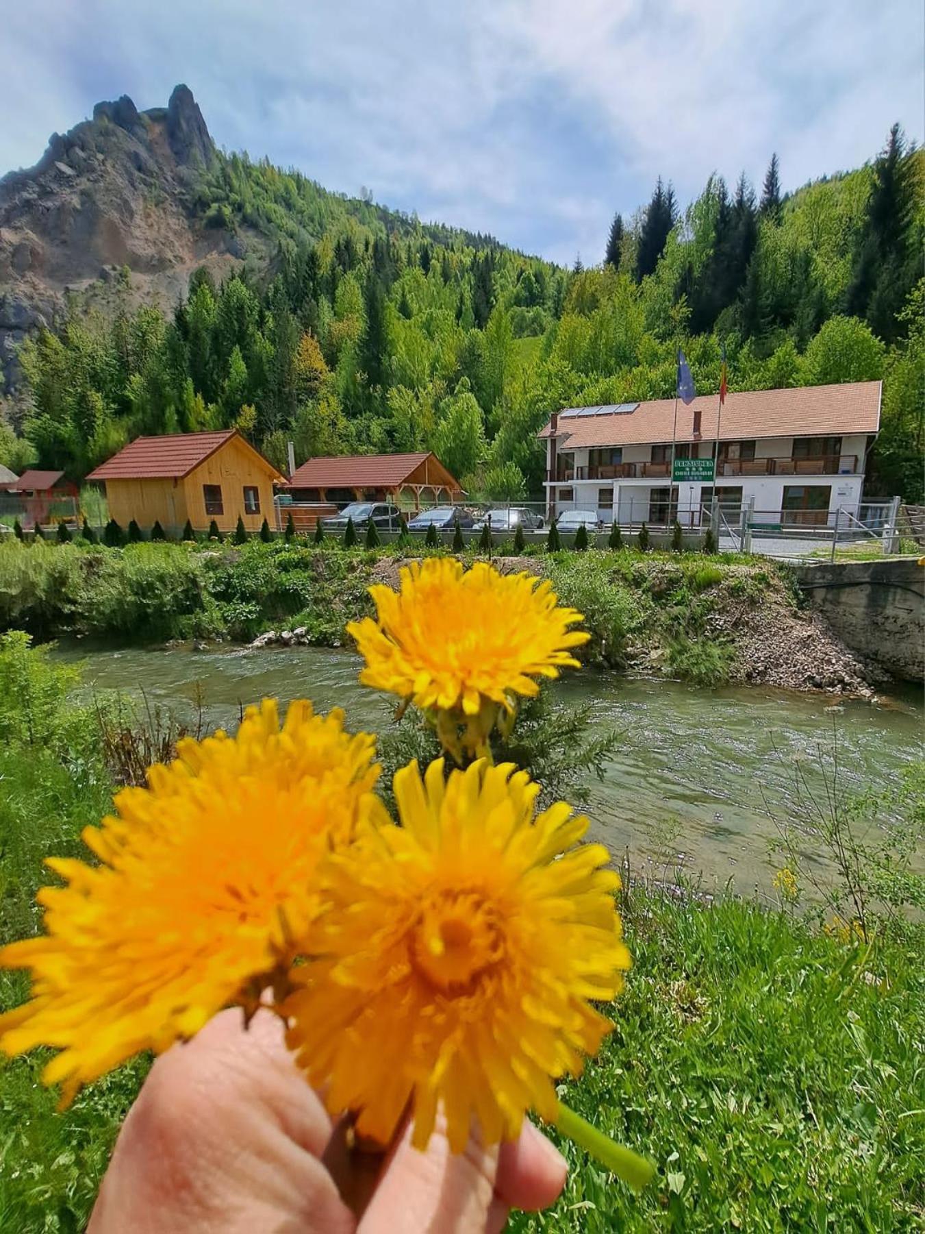 Pensiunea Cheile Sugaului Bicaz Chei Exterior foto